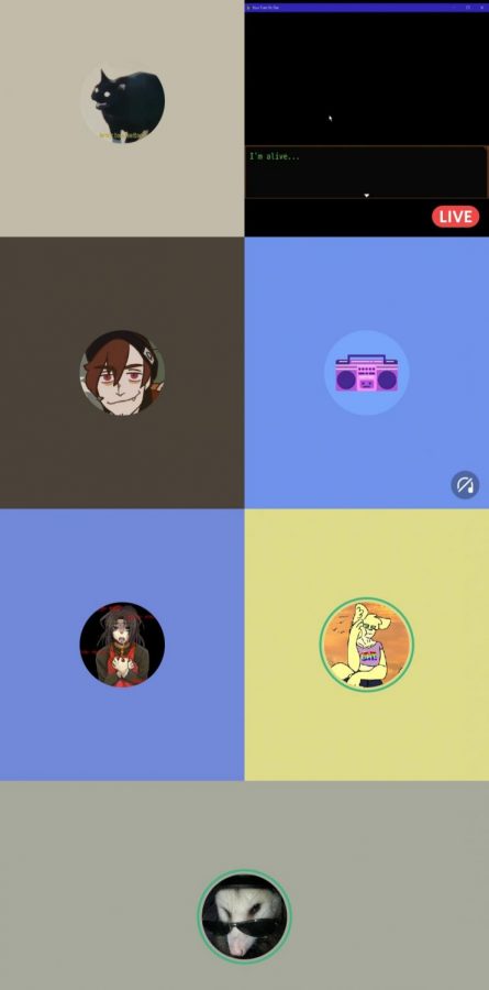 Discord Call With Friends